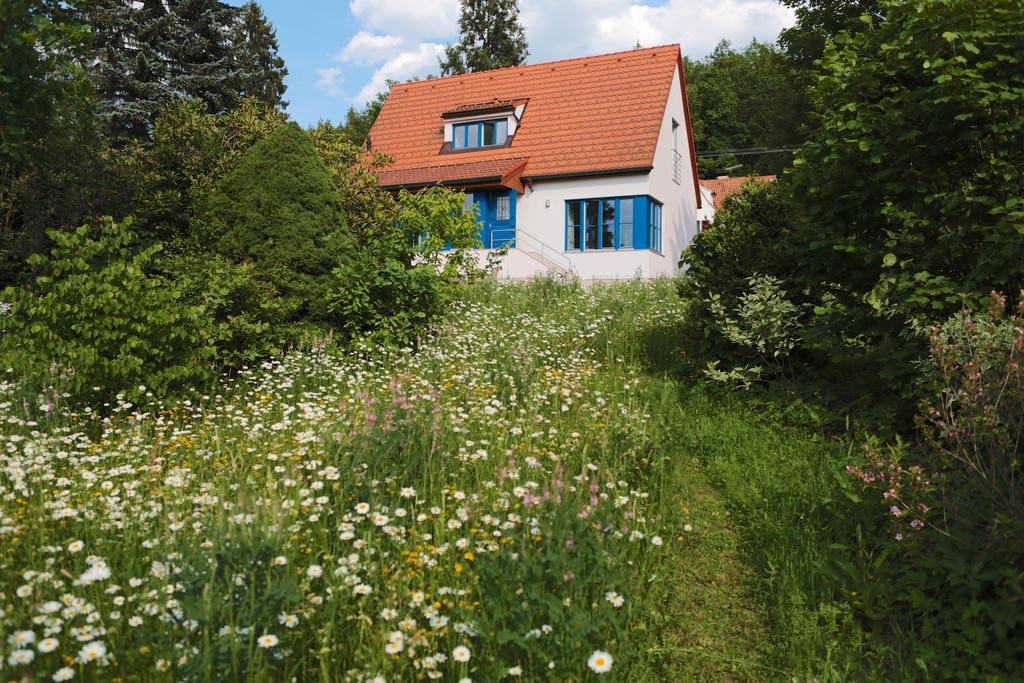 Rekreacni Vilka Casa vacanze Zlenice